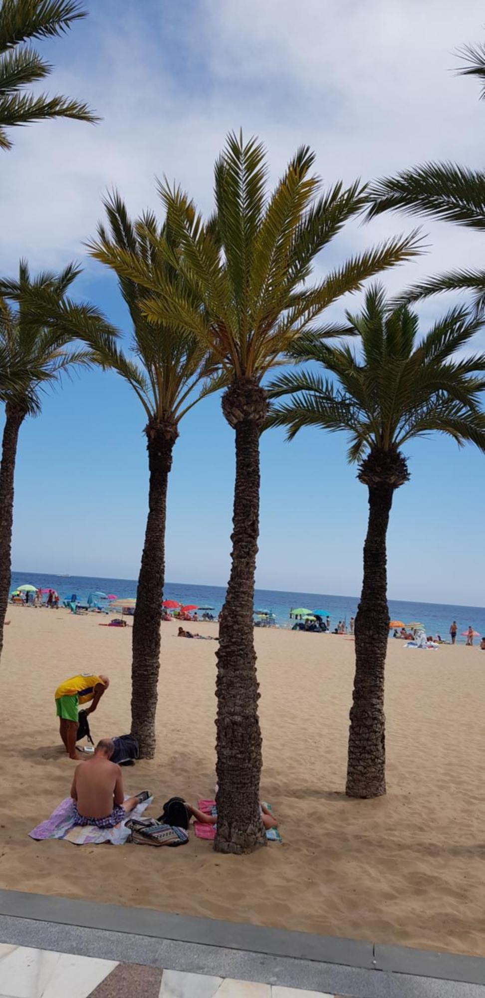 Benidorm Beachアパートメント エクステリア 写真