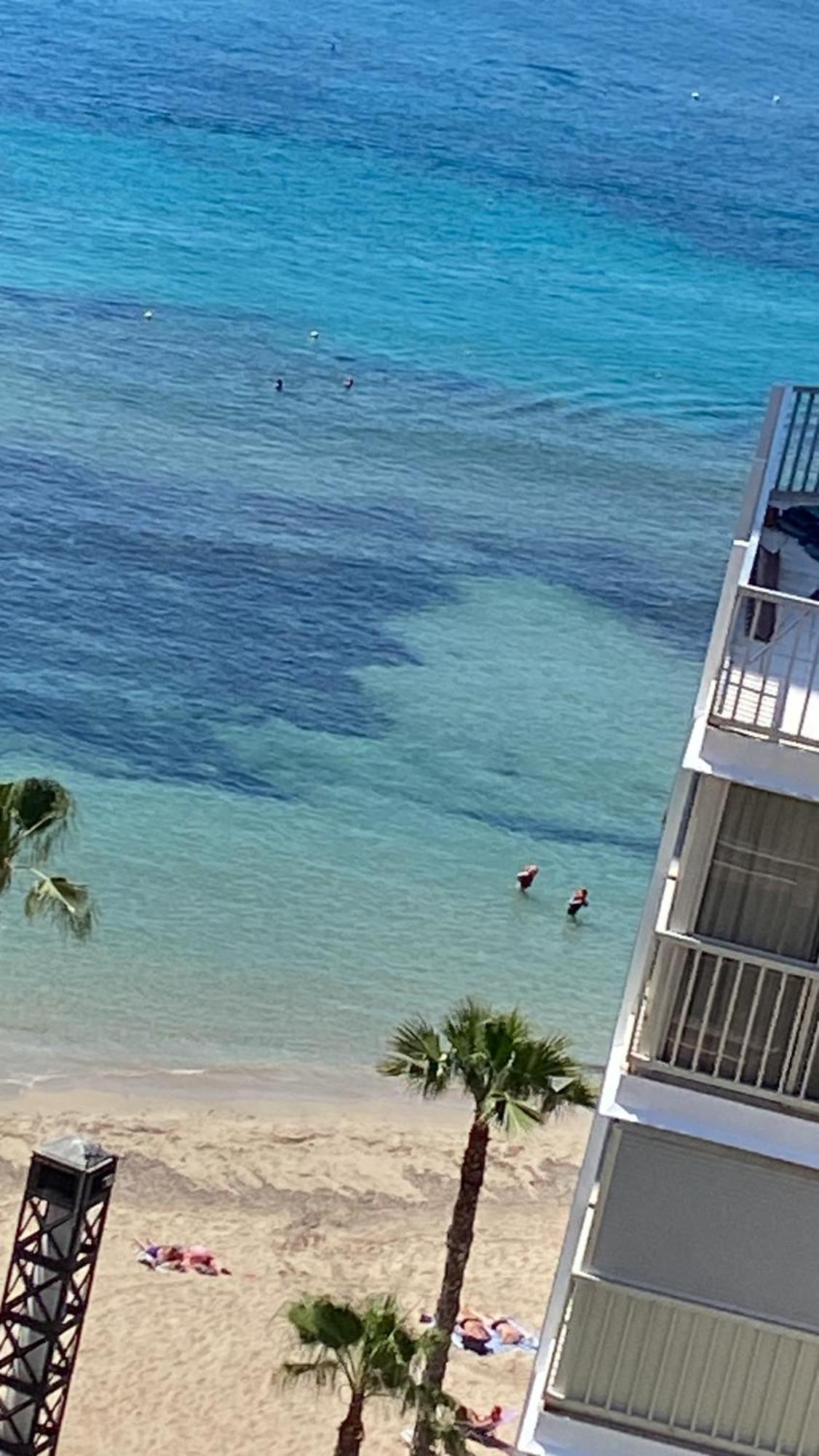 Benidorm Beachアパートメント エクステリア 写真
